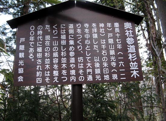 写真26