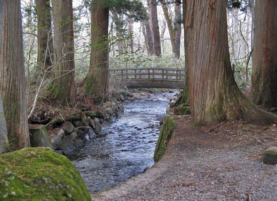 写真33