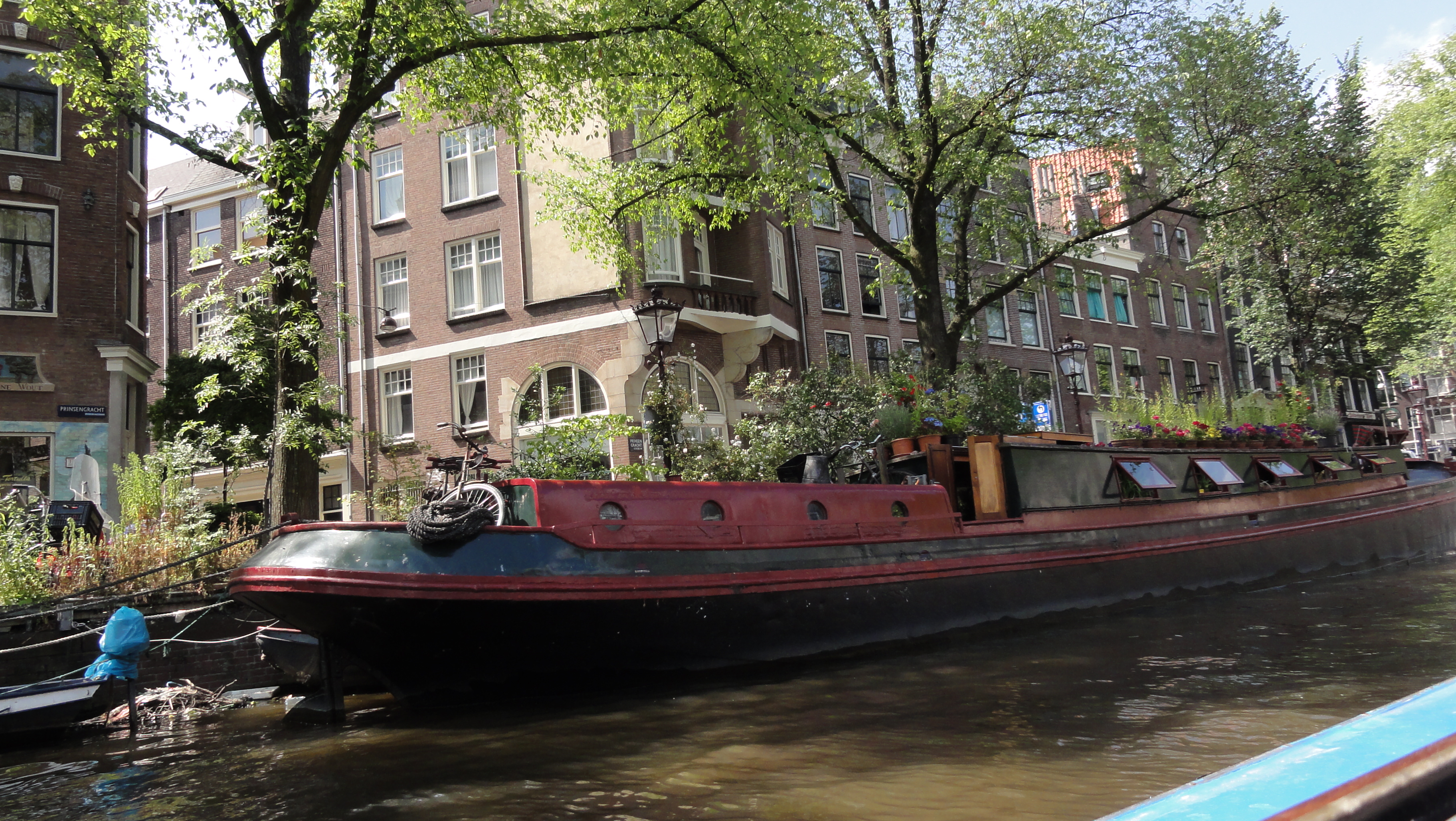 DSC00955.JPG